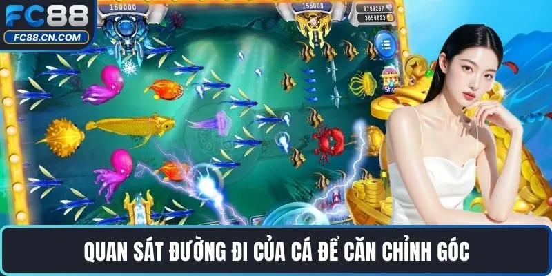 Quan sát đường đi của cá để căn chỉnh góc
