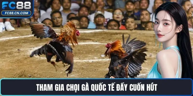 Tham gia chọi gà quốc tế đầy cuốn hút