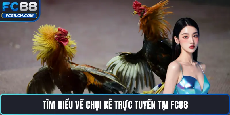 Tìm hiểu về chọi kê trực tuyến tại FC88